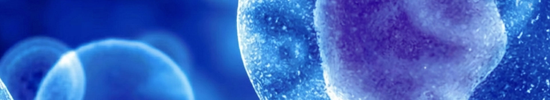 Immunoshield Therapeutics